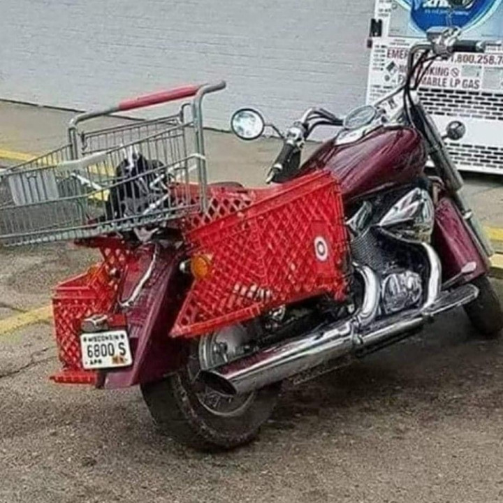New meaning to "Bagger"