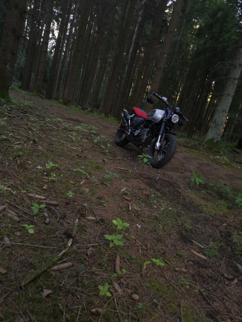 Forest rideout with my SWM Outlaw