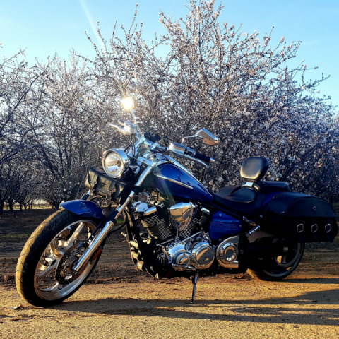 Its going to a beautiful day for a ride