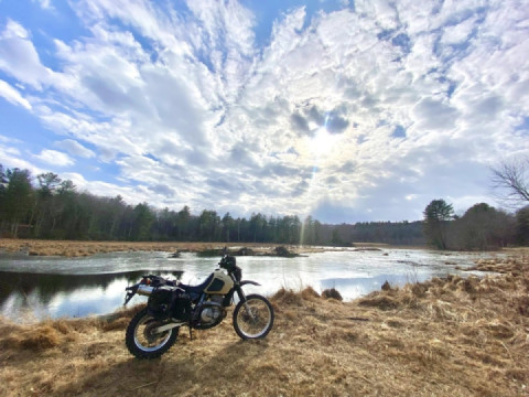 The end of Winter on Summer Lane