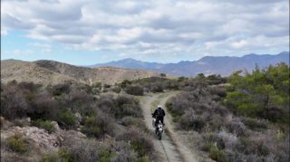 Just another day at the Beanz Bob office