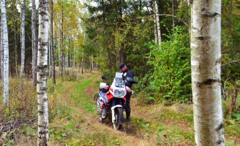 Coffee break out on the Swedish trails ☕️