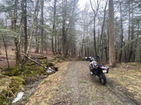 Discovering Forge Hill Rd in the rain Hawley, MA