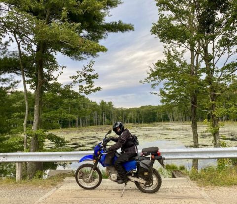 Forest roads with a passenger