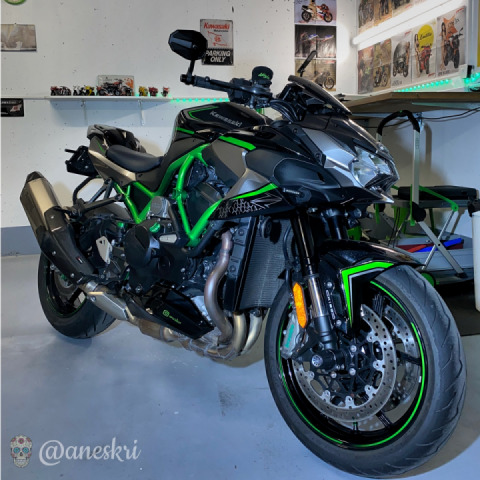 New here, this is my beast ?