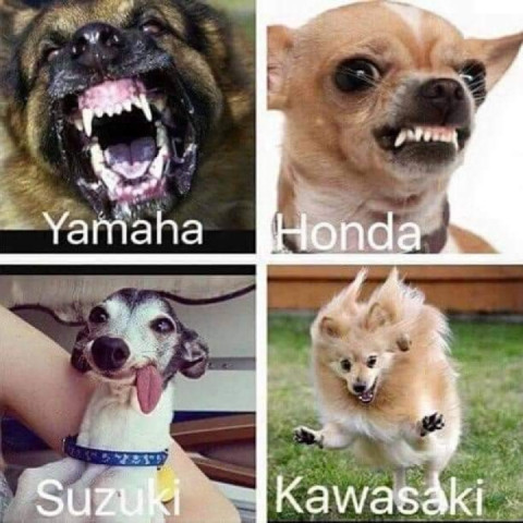 Should go with the R 1, then ? ?