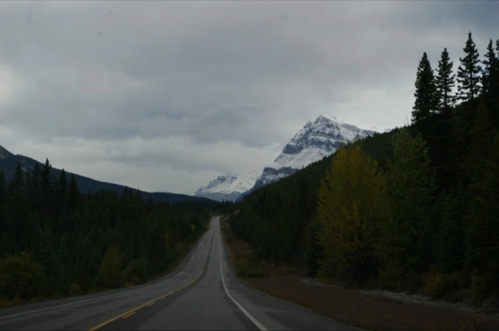 Highway 93 in Alberta, Canada, the Icefields Parkway, another view