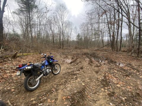 Nice to find some mud in the dry season