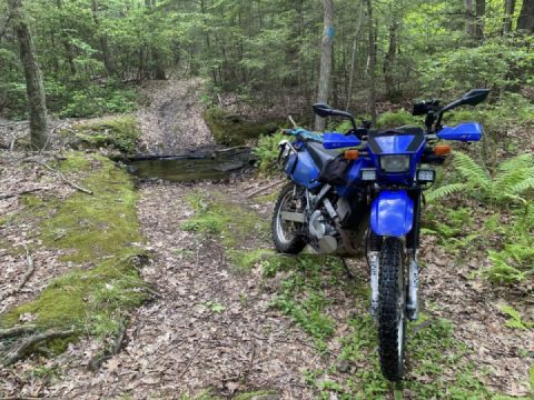 Mystery Mountain hop