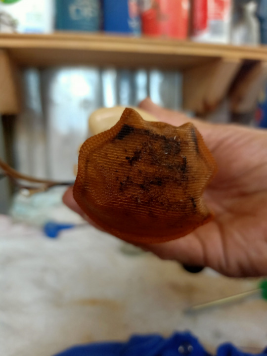 Maintenance Day at the Bike Shack