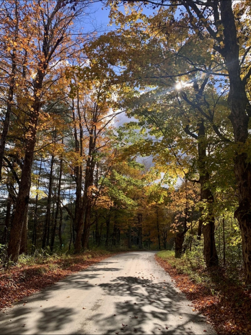 Early autumn sunshine