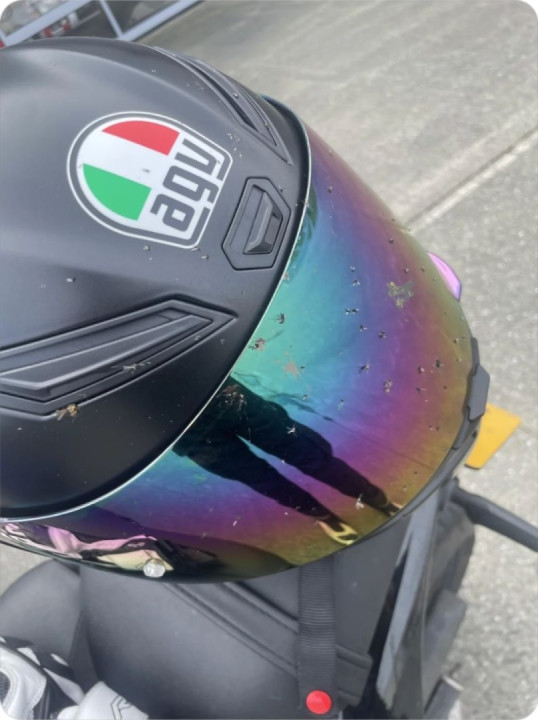 The European rural riding experience