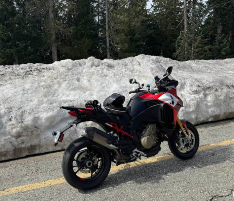 It's a little snowy today