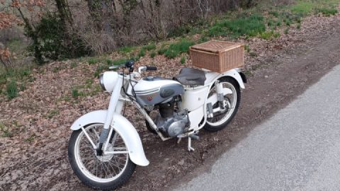 Motobecane z 27 c from 1958....Seb ✌️✌️️️