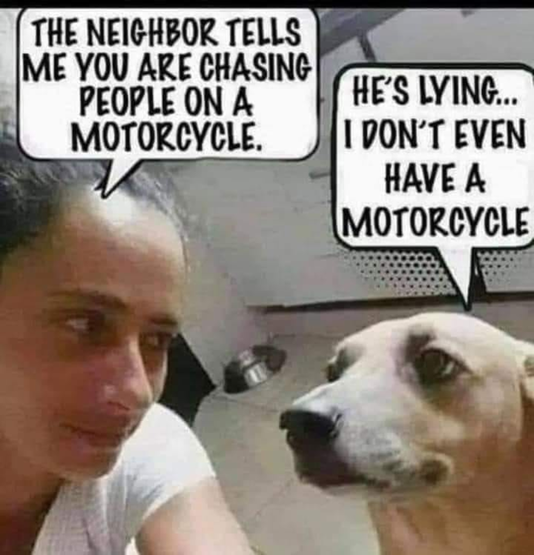 Dog logic! 