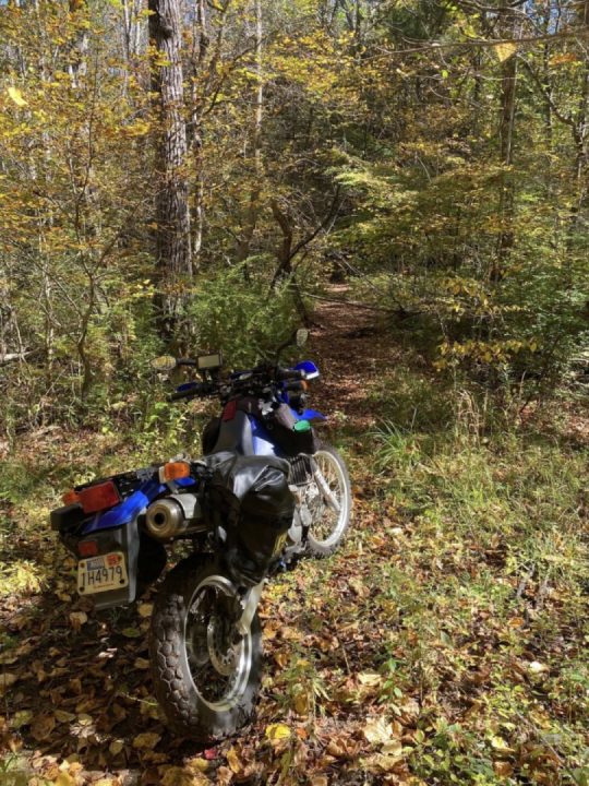 More exploring and a bit of trail clearing. Southern central Massachusetts