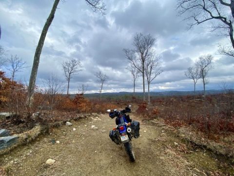 A few from today’s ride