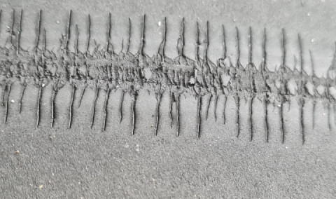 Oops, was time to get new tires ...