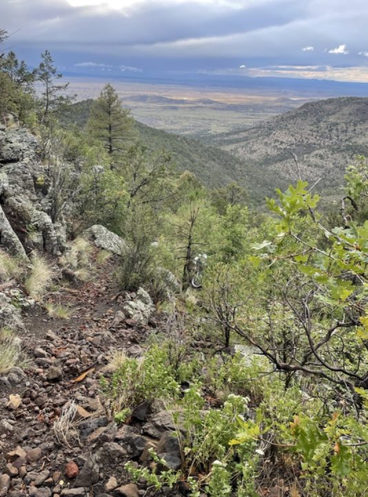 On Saturday afternoon, I got a chance to check out the infamous Coyote Trail #101