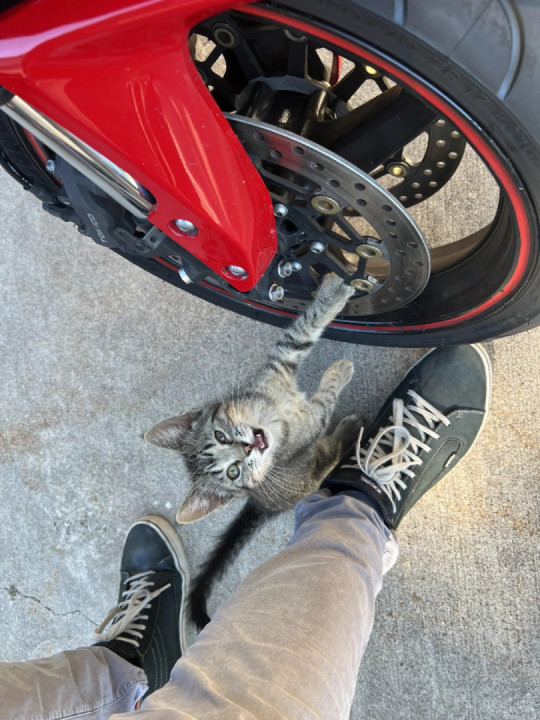 In my opinion, the rear brake isn't necessary