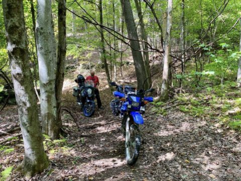 Exploring Rowe, MA trails and experiencing a favorite sketchy bridge.
