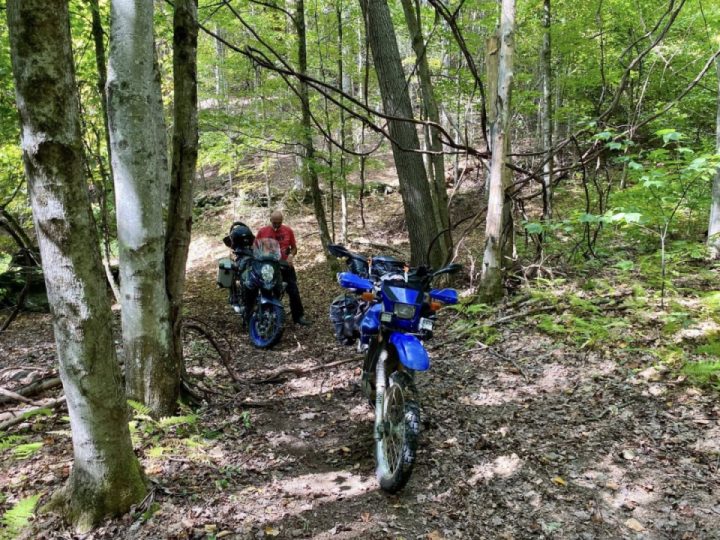 Exploring Rowe, MA trails and experiencing a favorite sketchy bridge.