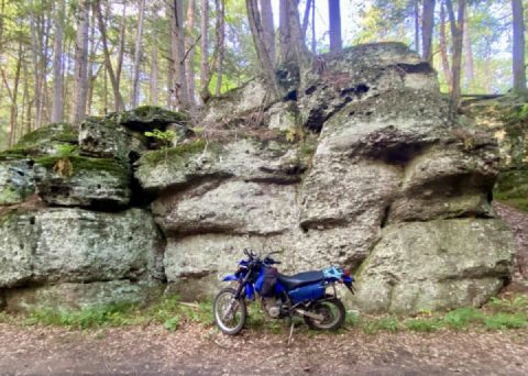 Stoned faces don’t lie