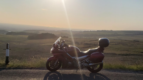 Enjoying the sunshine