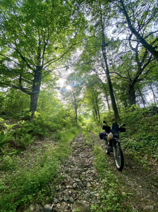 Grass routes and more