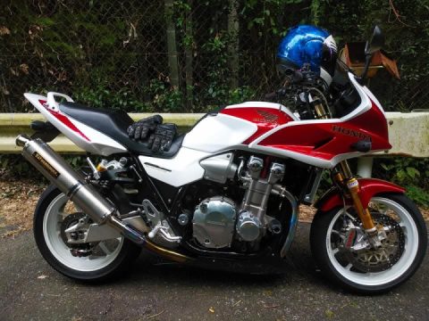 Wandering around the mountain behind my house.