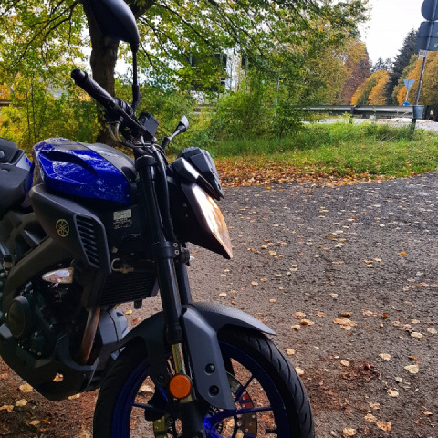 Close call today, but sometimes it be like that?