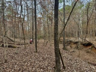 Bushwhacking in the hunt