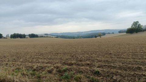 A short trip through the nearby fields