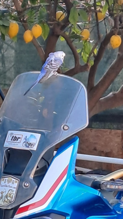 A little cuteness in the feed