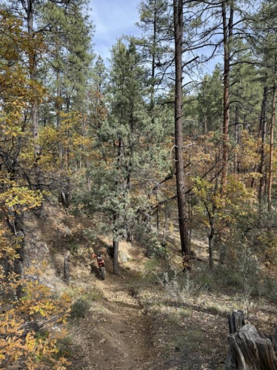 Fall and fails on the trail today