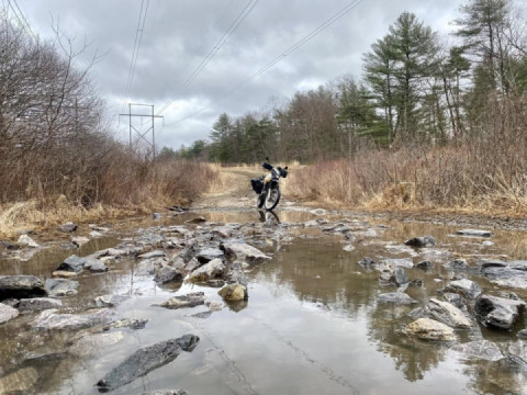Passionate pursuit of puddles