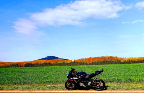 This is what Freedom Looks like ! . . This is what Freedom Feels like !