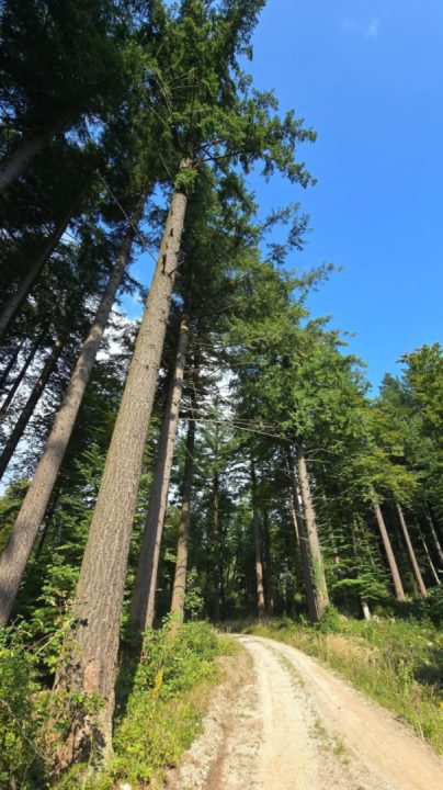 Mountain surroundings