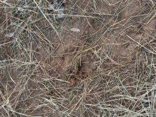 When you leave work early and take the long way home, you always end up feeling much better.