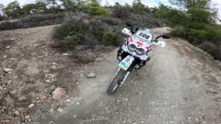 Just another day at the Beanz Bob office