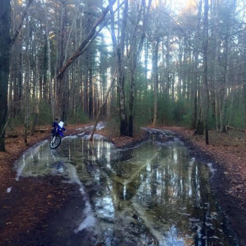 Sketchy is my happy place