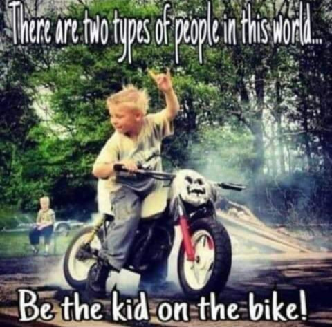 Which one are you! !