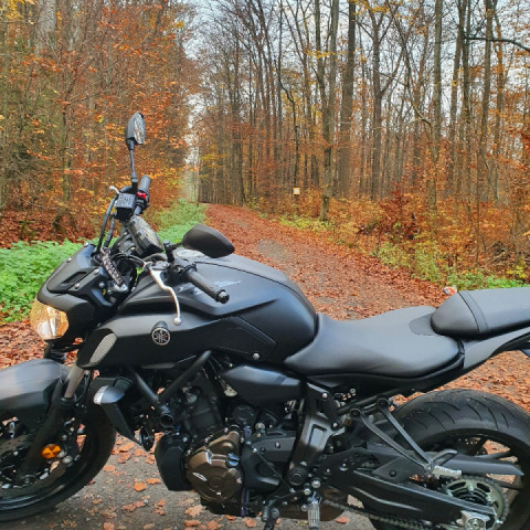 I had to stop and take a picture!?