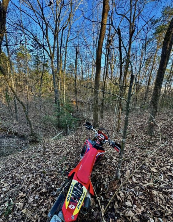 Found this little up and down today. Time to cut a trail.