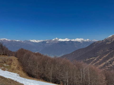 Greetings from "Alpe di Neggia"