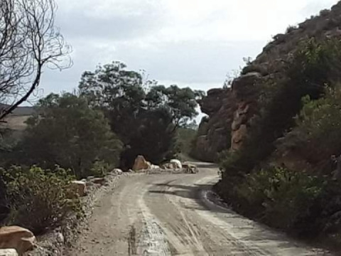 Sunday morning drive