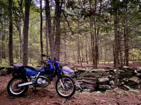 A local poke into the unfamiliar