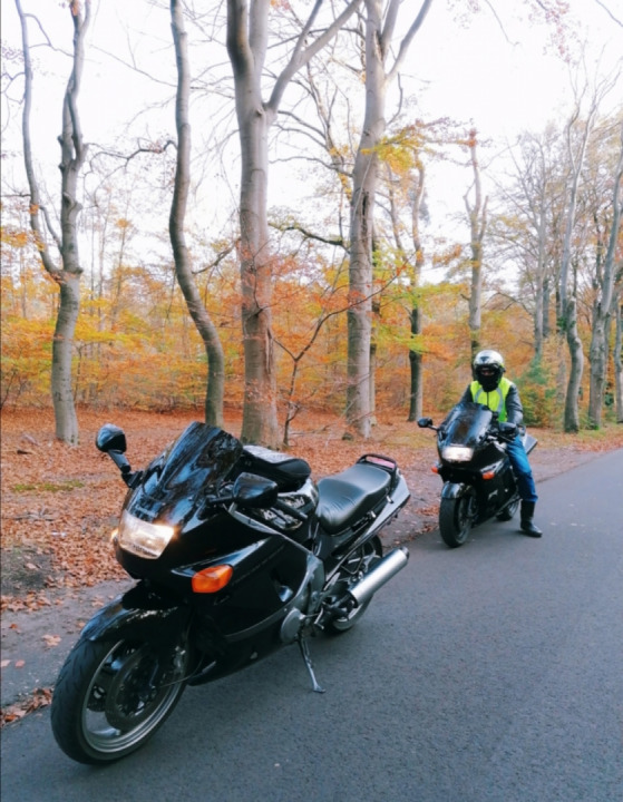 Utrechtse Heuvelrug tour!