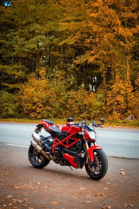 Autumn ride