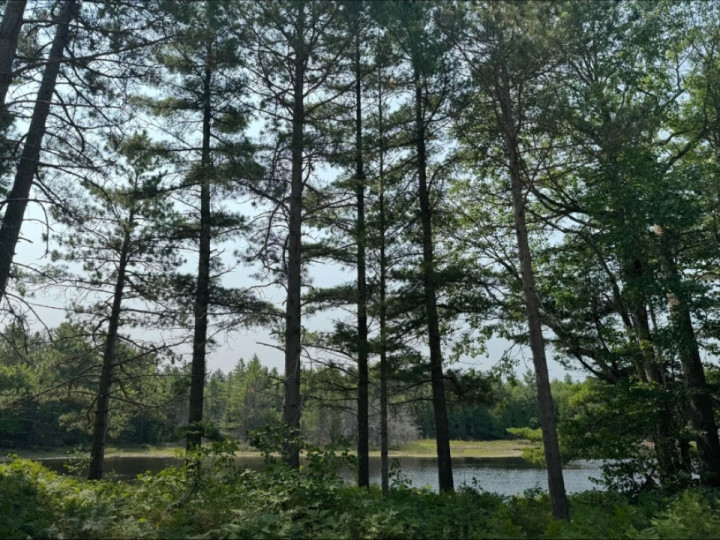 Traveling west on dirt/gravel roads of the upper peninsula Michigan